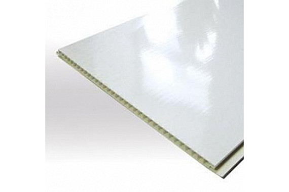 Панель белая глянцевая 250х3000х5 пластик профиль